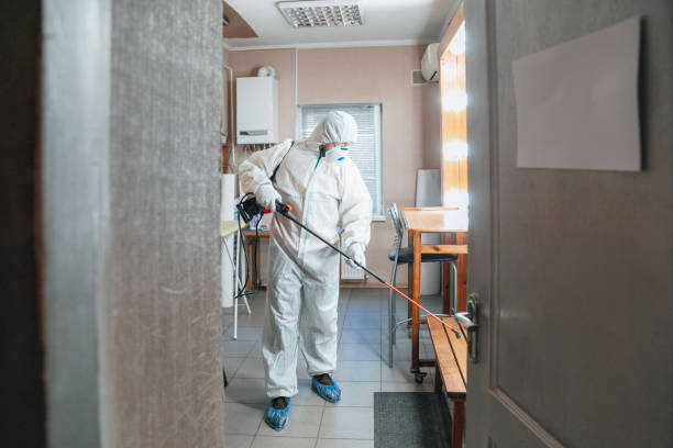 Best Mold Remediation for Healthcare Facilities  in Croydon, PA