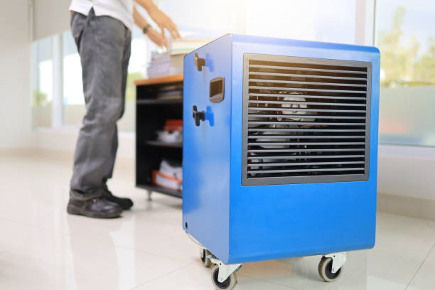 Best Indoor Air Quality Assessment  in Croydon, PA