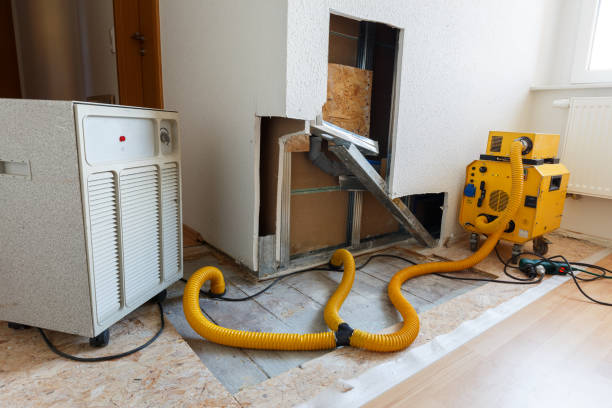 Best Airborne Mold Testing  in Croydon, PA